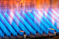 Bodden gas fired boilers